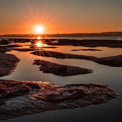 Group experience: Isola del Garda e Gardone Riviera da Bardolino 6